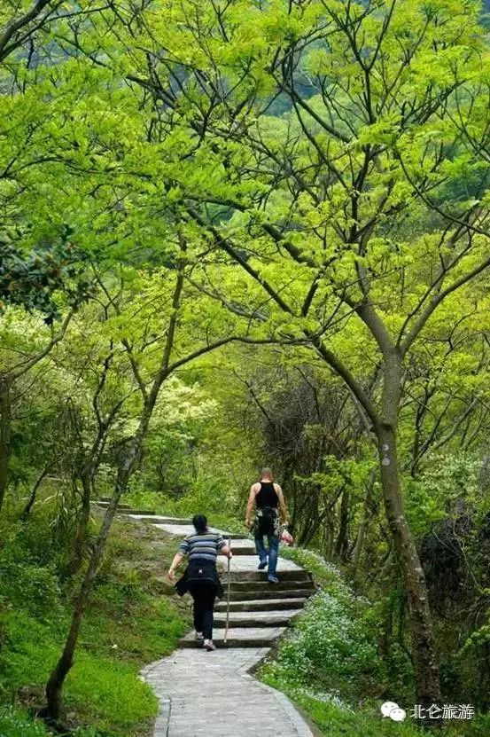 攻略旅游北仑峰山路线_北仑九峰山旅游攻略_北仑白峰哪里好玩