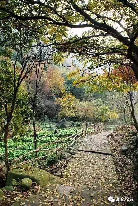 北仑白峰哪里好玩_攻略旅游北仑峰山路线_北仑九峰山旅游攻略