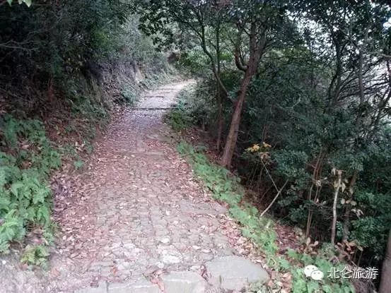 北仑白峰哪里好玩_北仑九峰山旅游攻略_攻略旅游北仑峰山路线