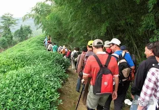 北仑九峰山旅游攻略_北仑白峰哪里好玩_攻略旅游北仑峰山路线