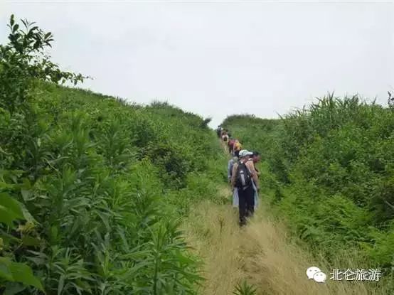 攻略旅游北仑峰山路线_北仑九峰山旅游攻略_北仑白峰哪里好玩