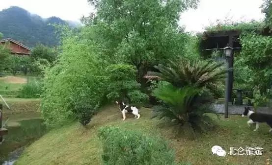 攻略旅游北仑峰山路线_北仑白峰哪里好玩_北仑九峰山旅游攻略