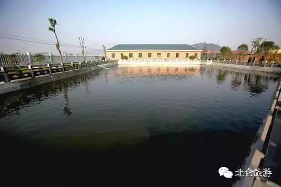 北仑白峰哪里好玩_北仑九峰山旅游攻略_攻略旅游北仑峰山路线