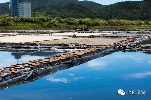 攻略旅游北仑峰山路线_北仑九峰山旅游攻略_北仑白峰哪里好玩
