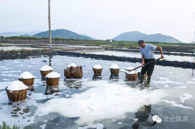 攻略旅游北仑峰山路线_北仑九峰山旅游攻略_北仑白峰哪里好玩