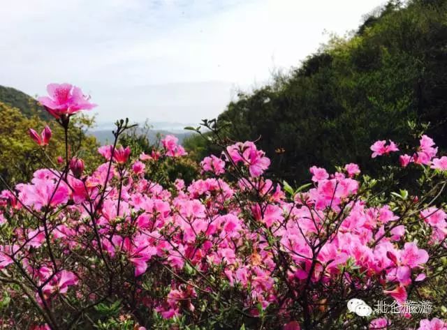 攻略旅游北仑峰山路线_北仑九峰山旅游攻略_北仑白峰哪里好玩