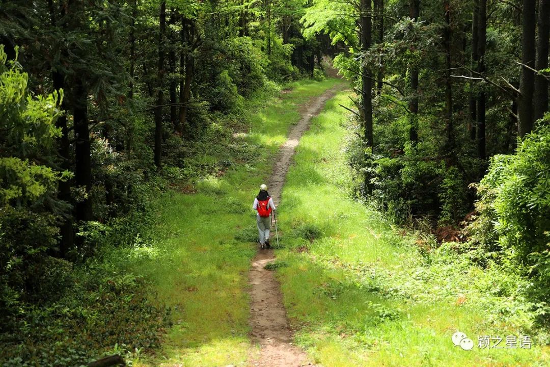 北仑九峰山旅游攻略_攻略旅游北仑峰山路线_宁波北仑山