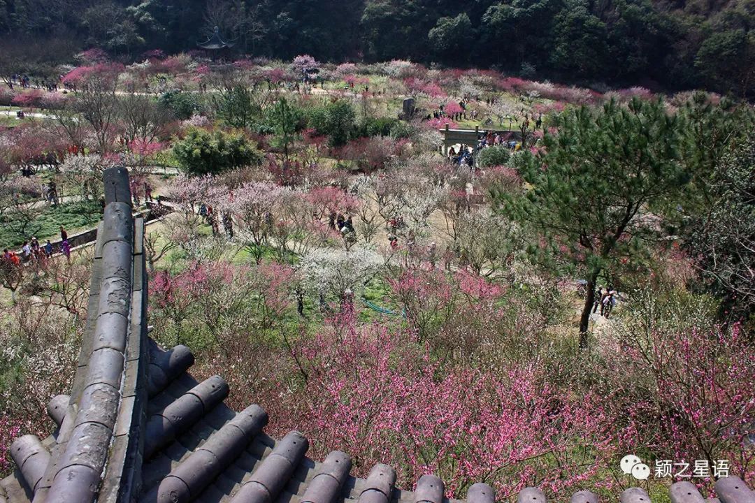攻略旅游北仑峰山路线_宁波北仑山_北仑九峰山旅游攻略