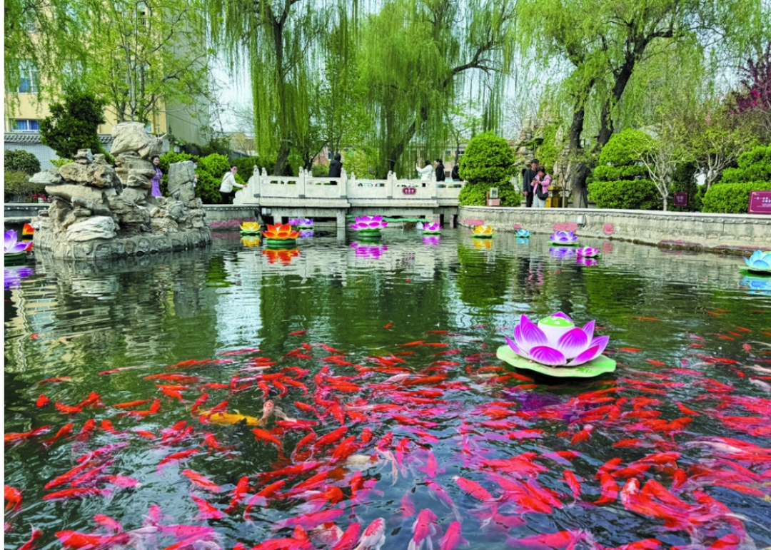 河北石家庄旅游攻略_河北石家庄旅游景点_河北省石家庄旅游攻略