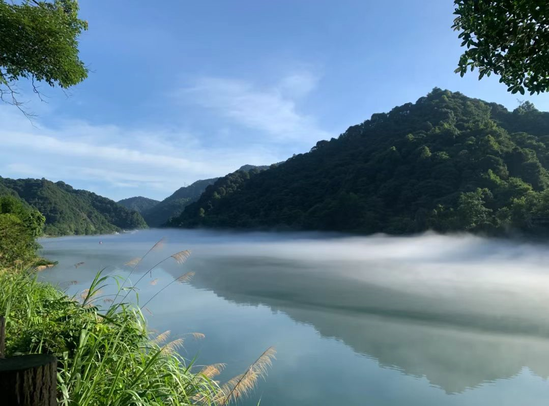 郴州莽山怎么玩_广州到郴州莽山,东江湖旅游攻略_郴州莽山旅游攻略自驾游