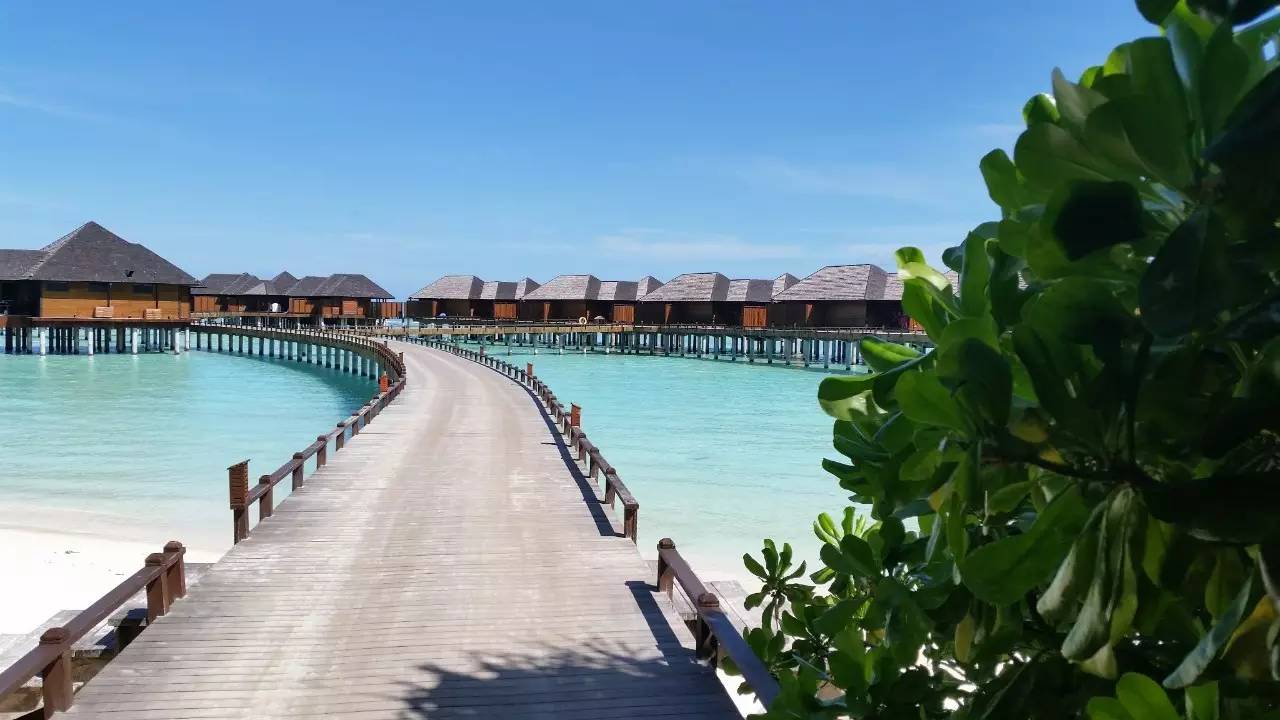 十一月马尔代夫旅游攻略_马尔代夫旅游项目_马尔代夫旅游游记