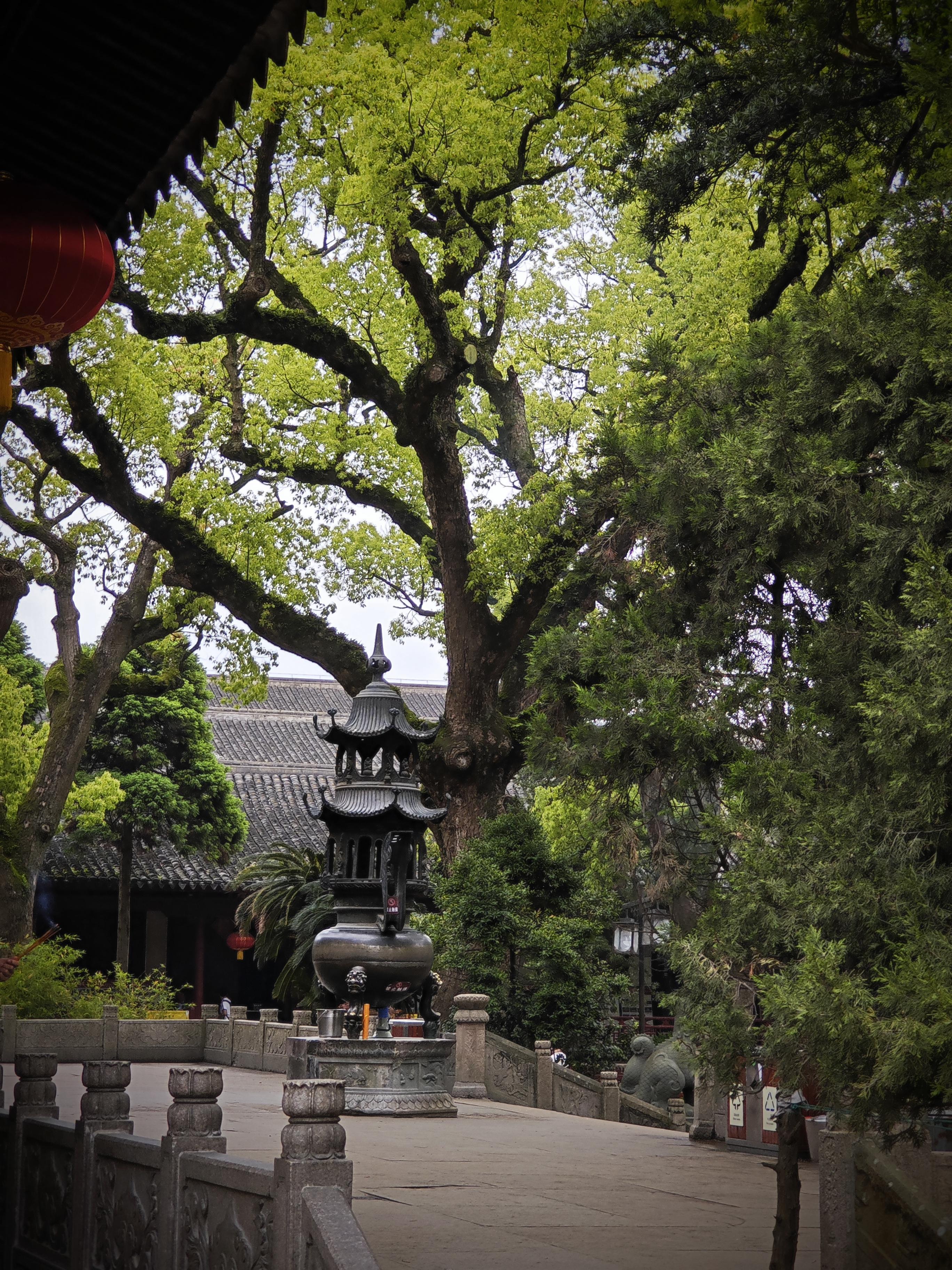 普陀山朱家尖_普陀山朱家尖旅游攻略_普陀山风景名胜区朱家尖地址
