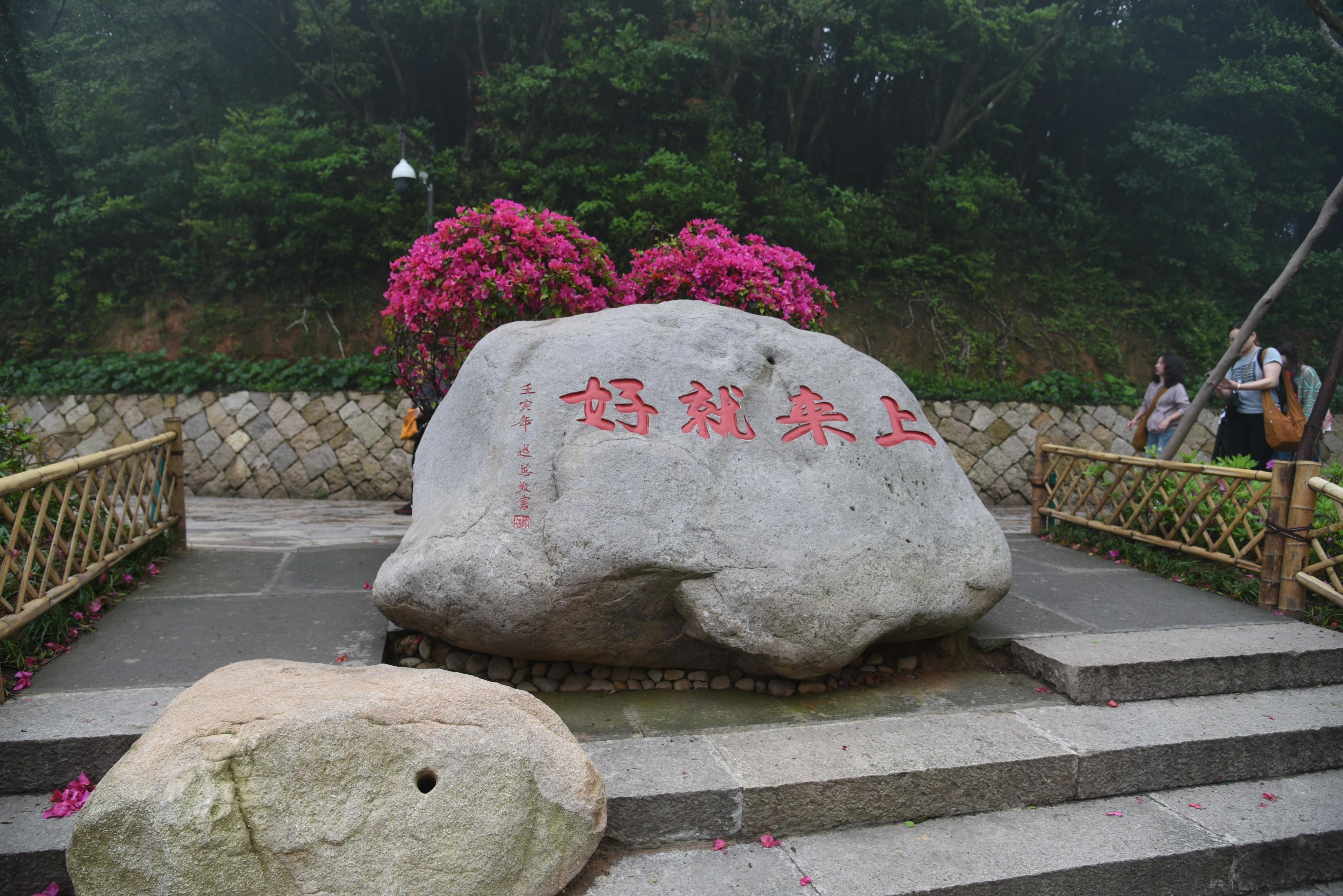普陀山朱家尖旅游攻略_普陀山朱家尖_普陀山风景名胜区朱家尖地址