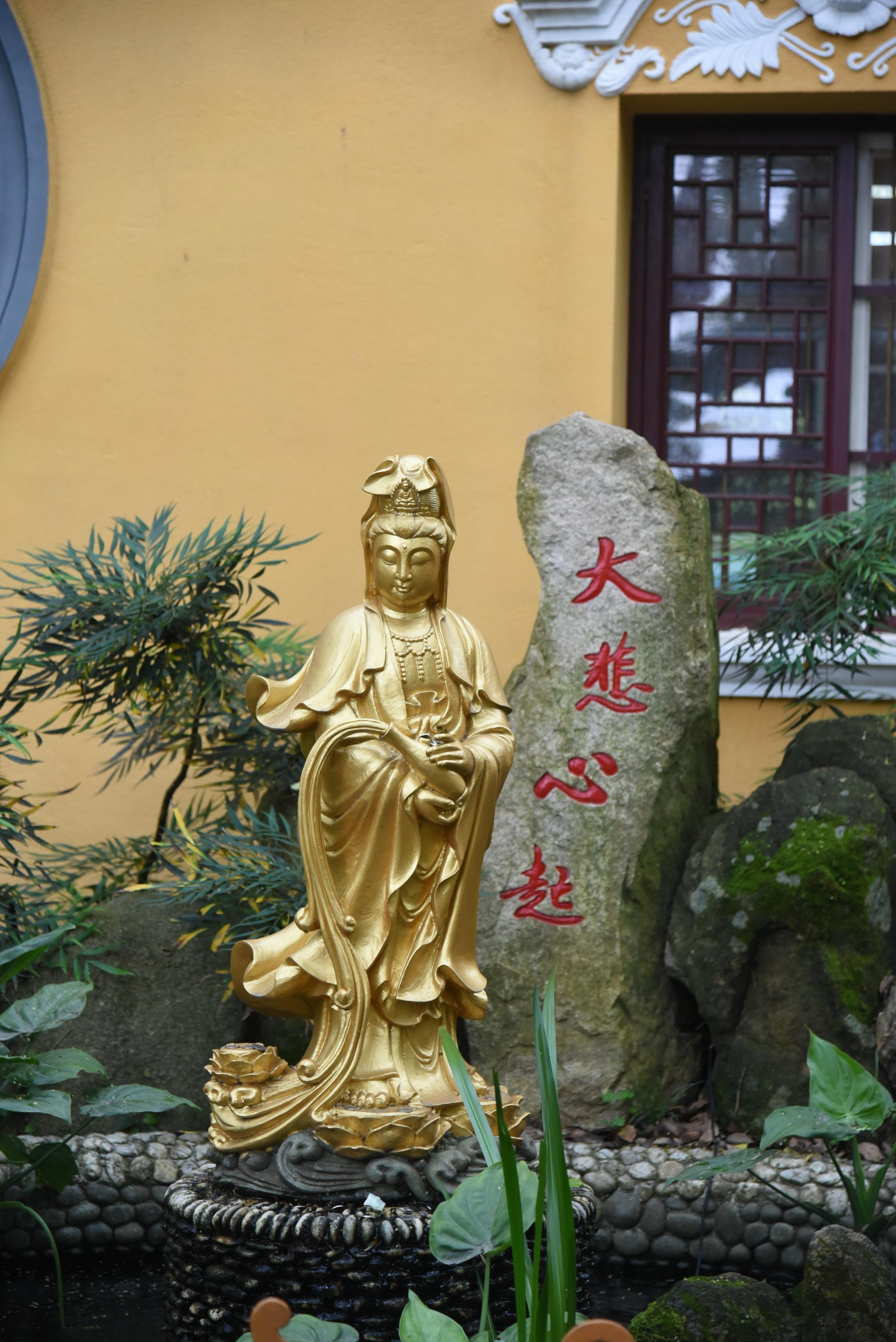 普陀山朱家尖旅游攻略_普陀山风景名胜区朱家尖地址_普陀山朱家尖