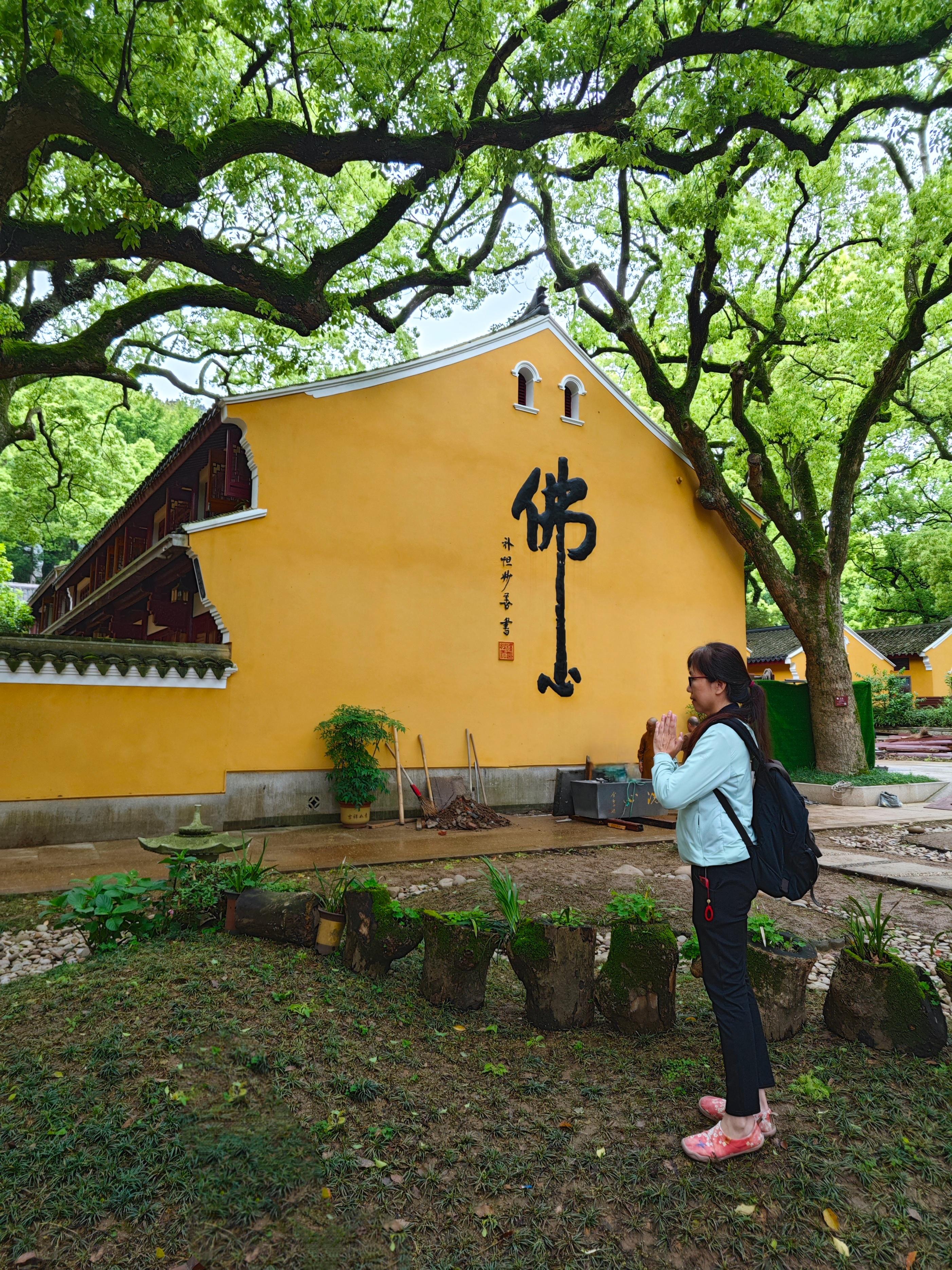 普陀山朱家尖旅游攻略_普陀山朱家尖_普陀山风景名胜区朱家尖地址