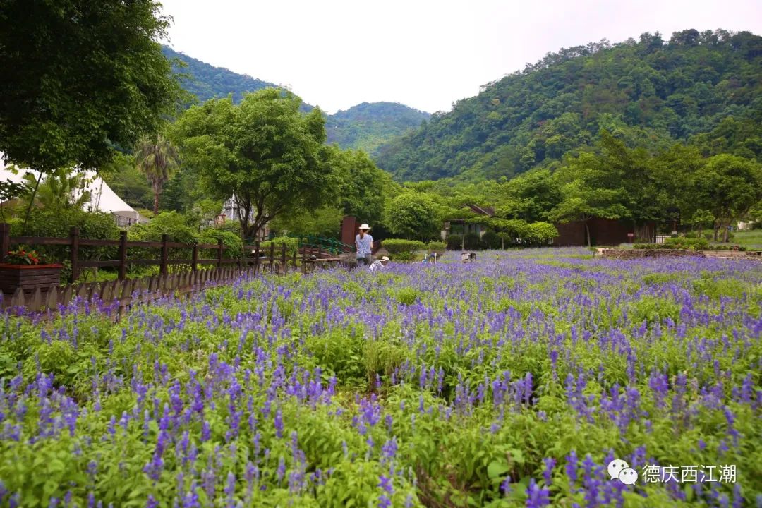 德庆盘龙峡旅游攻略_德庆盘龙峡谷风景区_德庆盘龙峡景区门票团购价格