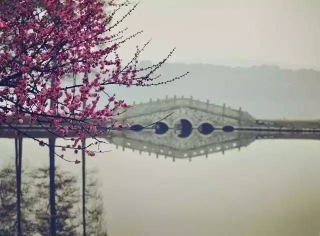宜昌车溪游记_湖北宜昌车溪景区_宜昌车溪旅游攻略