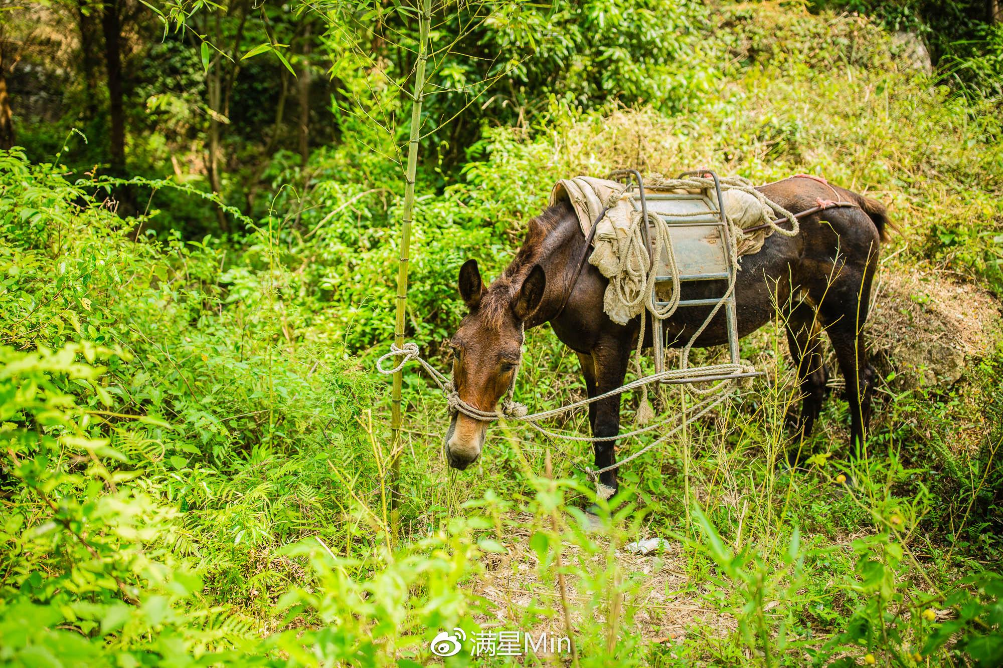 攻略台山旅游路线_攻略台山旅游的地方_八台山旅游攻略