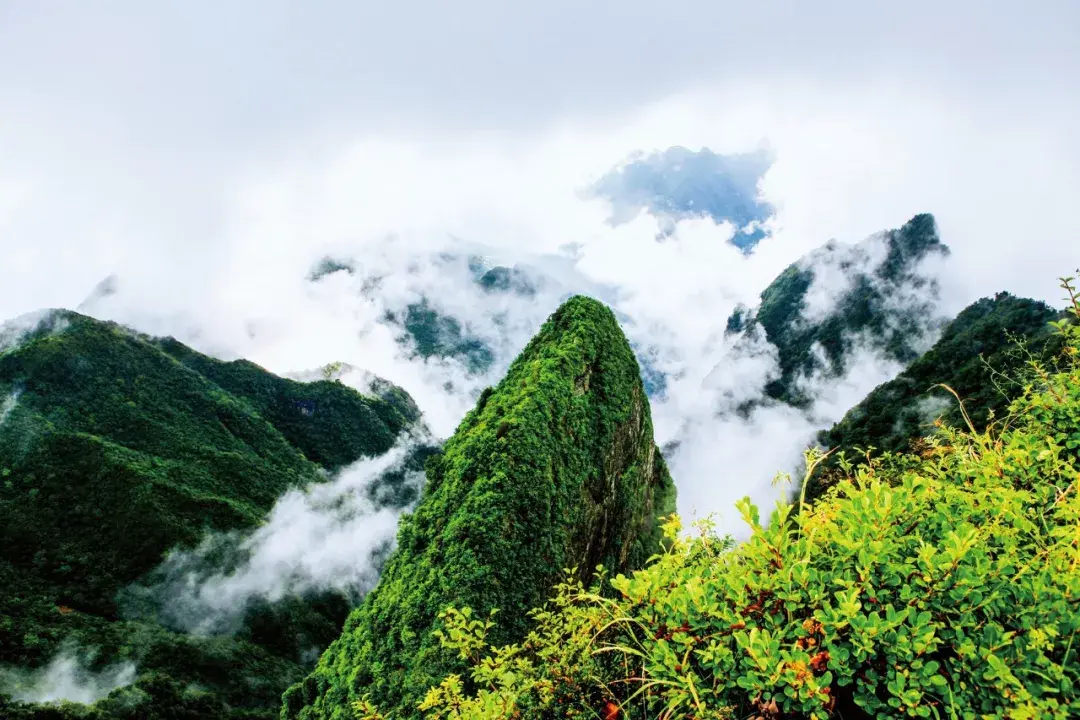 台山旅游攻略_八台山旅游攻略_台山旅游攻略自助游