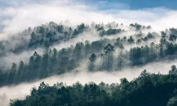 台山旅游攻略自助游_八台山旅游攻略_台山旅游攻略