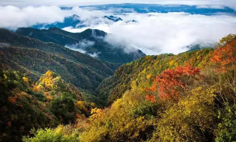 八台山旅游攻略_台山旅游攻略_台山旅游攻略自助游