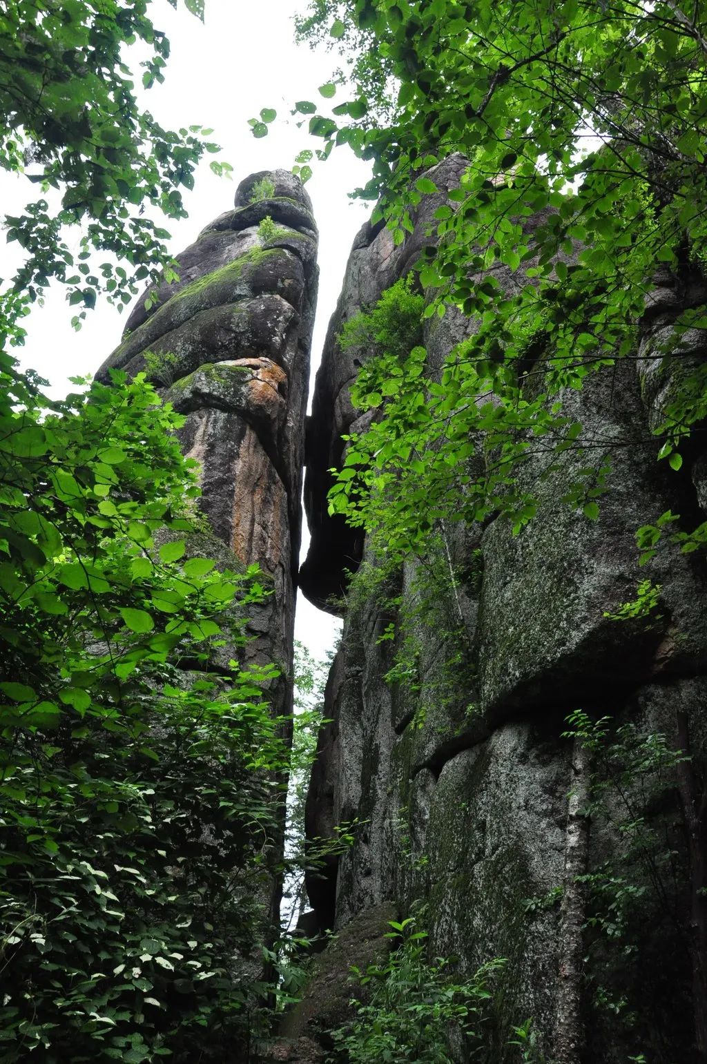小兴安岭旅游_小兴安岭旅游攻略_兴安岭旅游