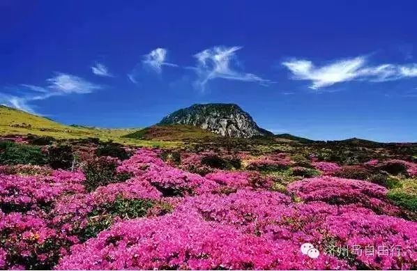 济州岛西归浦景点_济州岛西归浦旅游攻略_韩国西归浦市旅游景点