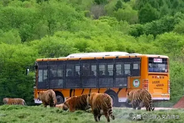 夏天哈尔滨旅游攻略_夏天哈尔滨景点攻略_哈尔滨夏天旅游攻略必去景点