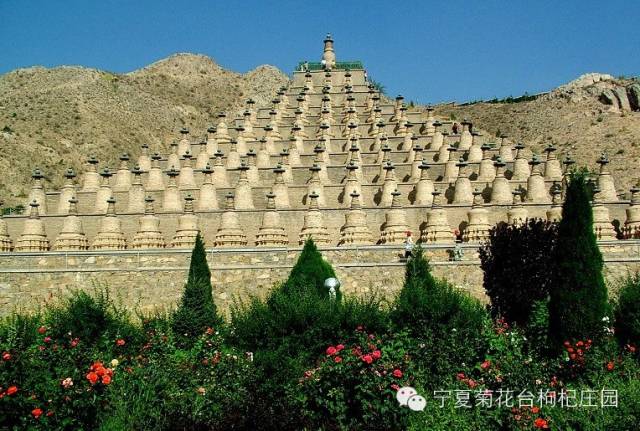 西安到沙坡头旅游攻略_西安去沙坡头游玩攻略_西安去沙坡头两日游