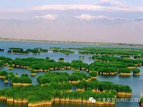 西安到沙坡头旅游攻略_西安去沙坡头游玩攻略_西安去沙坡头两日游