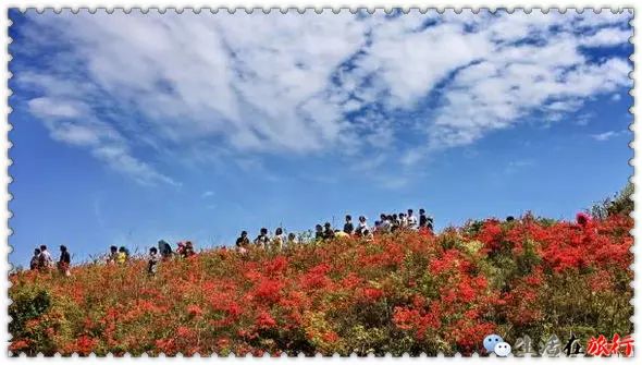 乐清芙蓉镇旅游攻略_乐清芙蓉镇游玩攻略_乐清芙蓉镇有什么好玩的景点