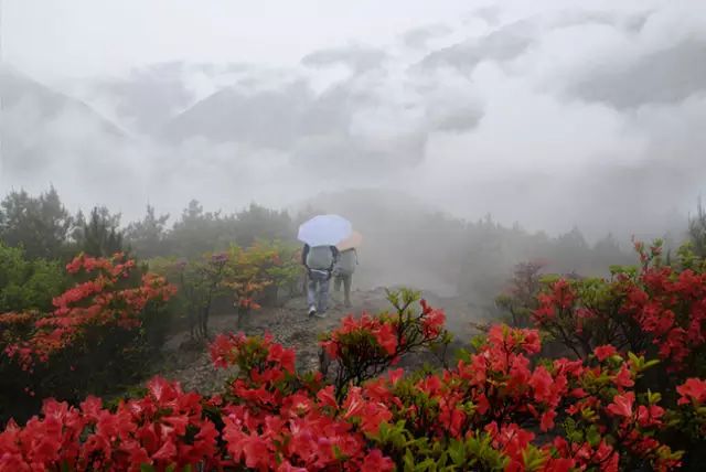 乐清芙蓉镇游玩攻略_乐清芙蓉镇有什么好玩的景点_乐清芙蓉镇旅游攻略