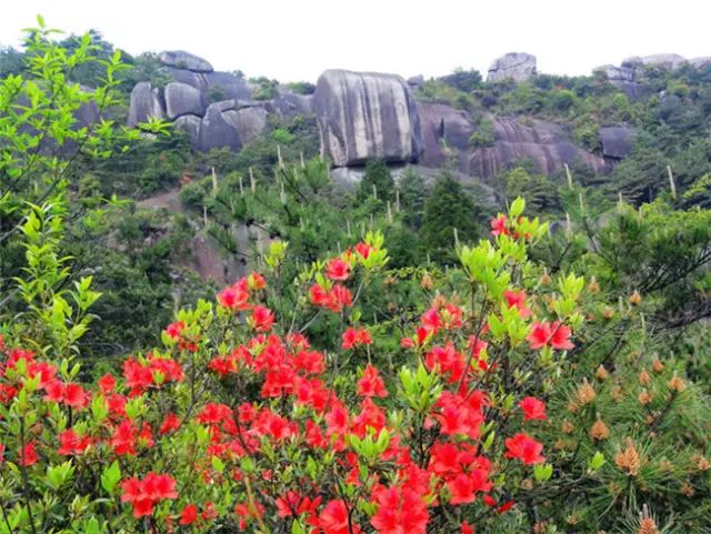 乐清芙蓉镇游玩攻略_乐清芙蓉镇旅游攻略_乐清芙蓉镇有什么好玩的景点