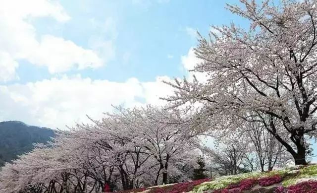 乐清芙蓉镇游玩攻略_乐清芙蓉镇有什么好玩的景点_乐清芙蓉镇旅游攻略