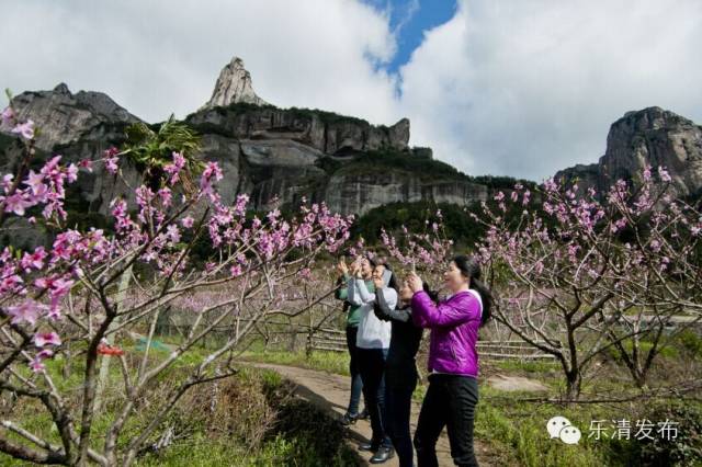 乐清芙蓉镇游玩攻略_乐清芙蓉镇有什么好玩的景点_乐清芙蓉镇旅游攻略