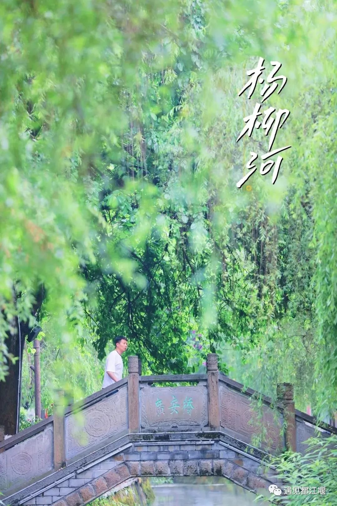 都江堰青城山旅游攻略一日游_都江堰青城山旅游官网_青城山都江堰旅游攻略