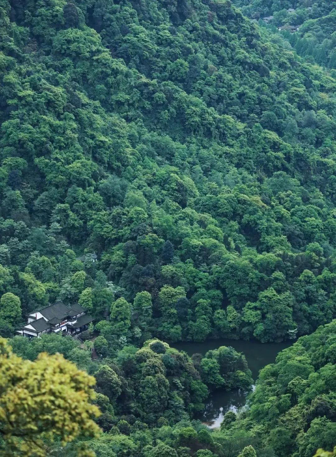 都江堰青城山旅游官网_都江堰青城山旅游攻略一日游_青城山都江堰旅游攻略