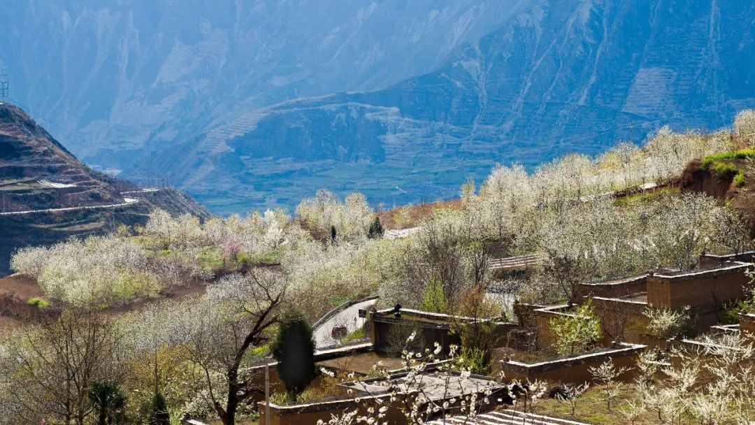 青城山都江堰旅游攻略_都江堰青城山旅游官网_都江堰青城山旅游攻略一日游