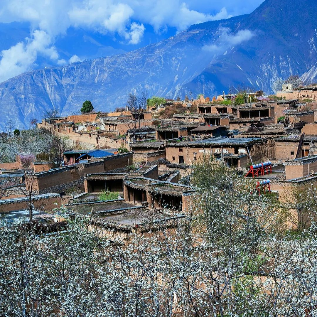 都江堰青城山旅游官网_都江堰青城山旅游攻略一日游_青城山都江堰旅游攻略
