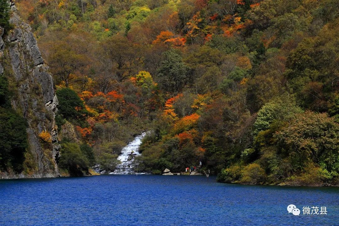 都江堰青城山旅游官网_都江堰青城山旅游攻略一日游_青城山都江堰旅游攻略