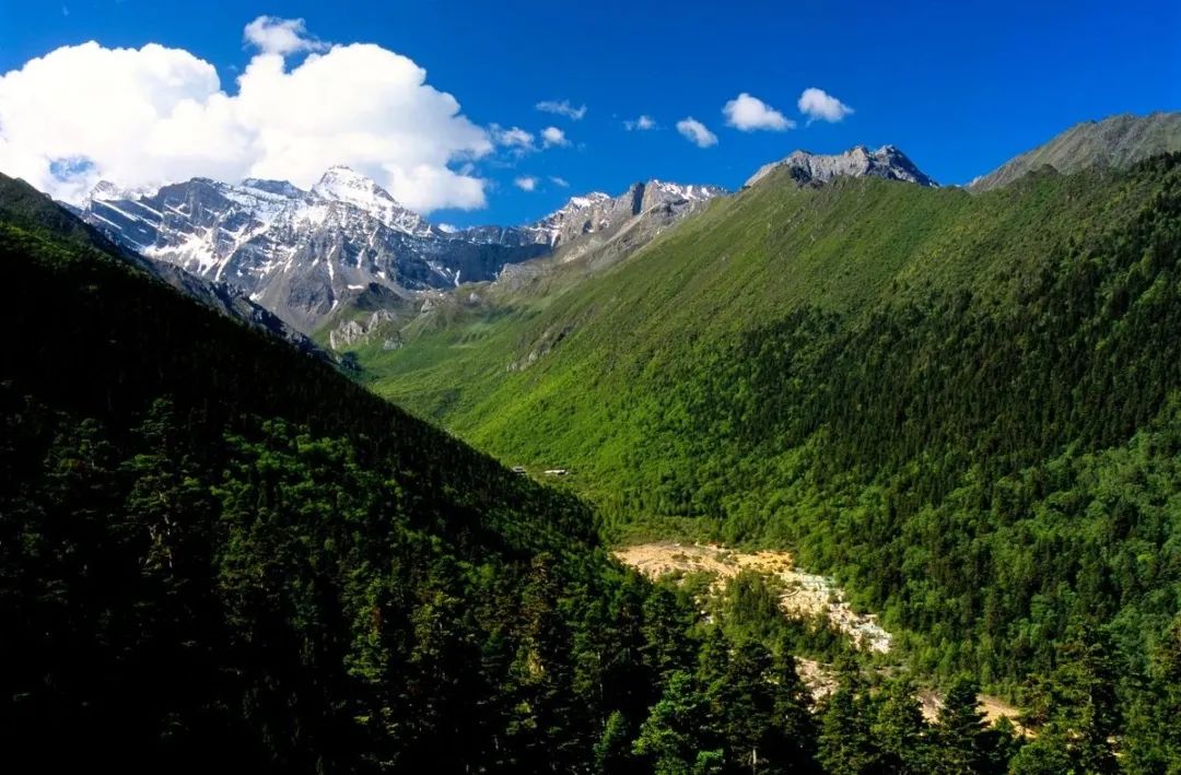 都江堰青城山旅游官网_青城山都江堰旅游攻略_都江堰青城山旅游攻略一日游