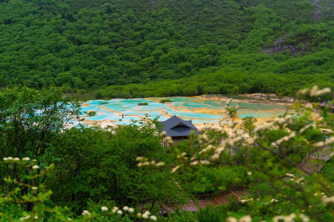 都江堰青城山旅游攻略一日游_青城山都江堰旅游攻略_都江堰青城山旅游官网