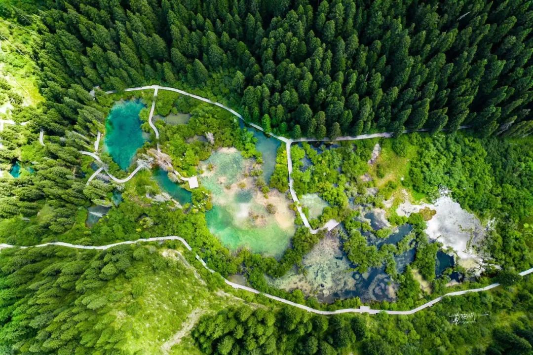 都江堰青城山旅游官网_都江堰青城山旅游攻略一日游_青城山都江堰旅游攻略