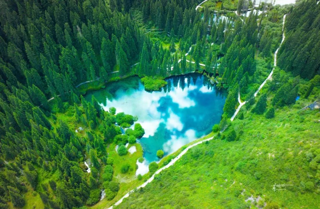 都江堰青城山旅游攻略一日游_都江堰青城山旅游官网_青城山都江堰旅游攻略