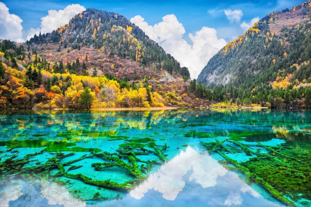 都江堰青城山旅游官网_青城山都江堰旅游攻略_都江堰青城山旅游攻略一日游