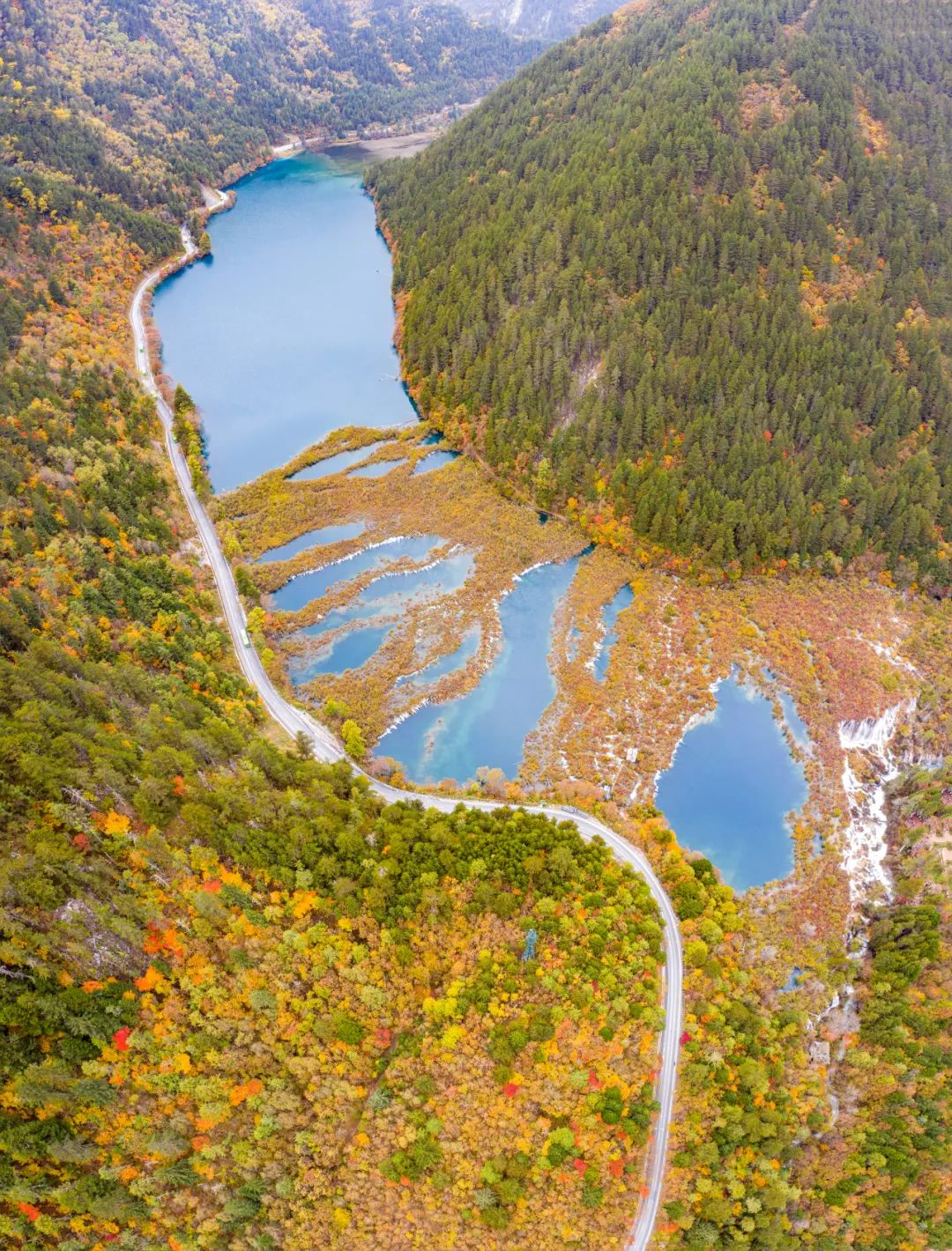 都江堰青城山旅游官网_都江堰青城山旅游攻略一日游_青城山都江堰旅游攻略