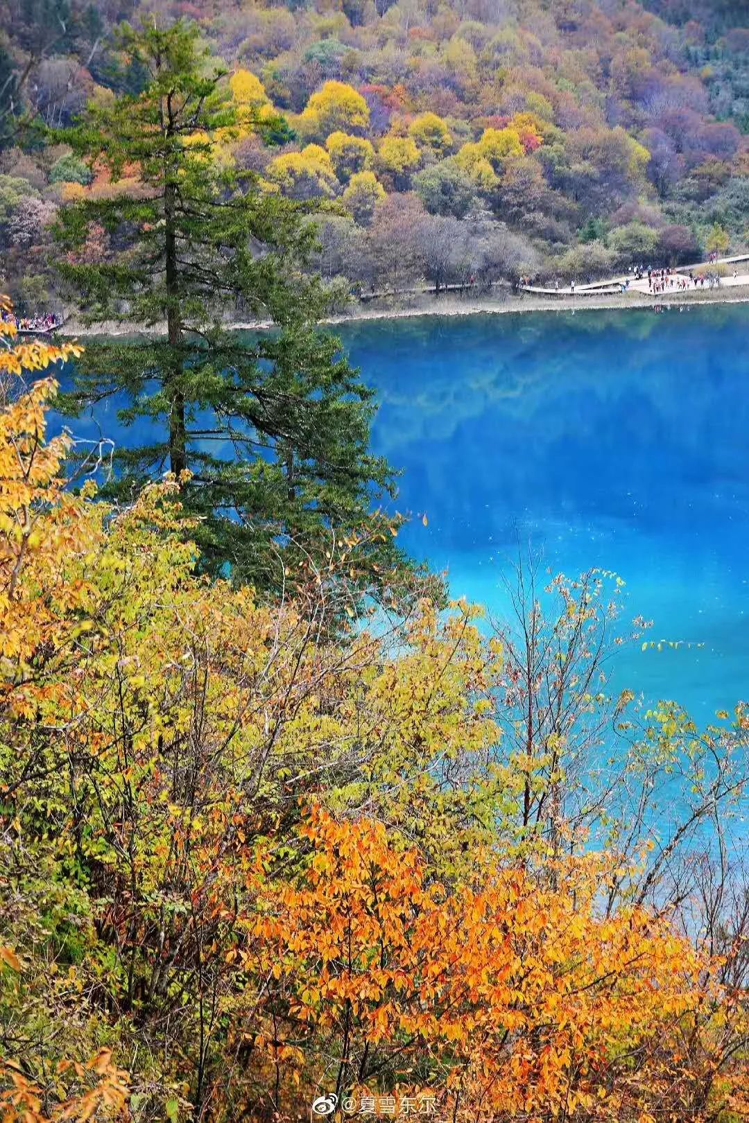 都江堰青城山旅游攻略一日游_都江堰青城山旅游官网_青城山都江堰旅游攻略