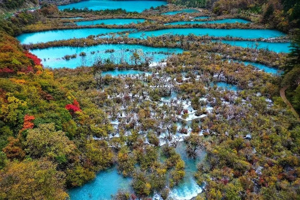 都江堰青城山旅游官网_都江堰青城山旅游攻略一日游_青城山都江堰旅游攻略