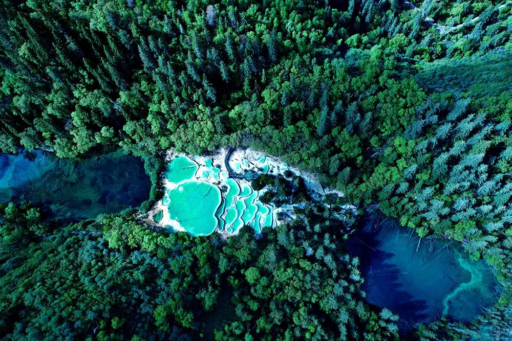 都江堰青城山旅游攻略一日游_都江堰青城山旅游官网_青城山都江堰旅游攻略