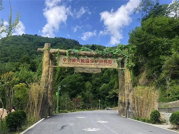 都江堰青城山旅游攻略一日游_都江堰青城山旅游官网_青城山都江堰旅游攻略